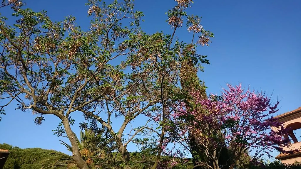 Podere Isabella 산빈첸초 0*,  이탈리아