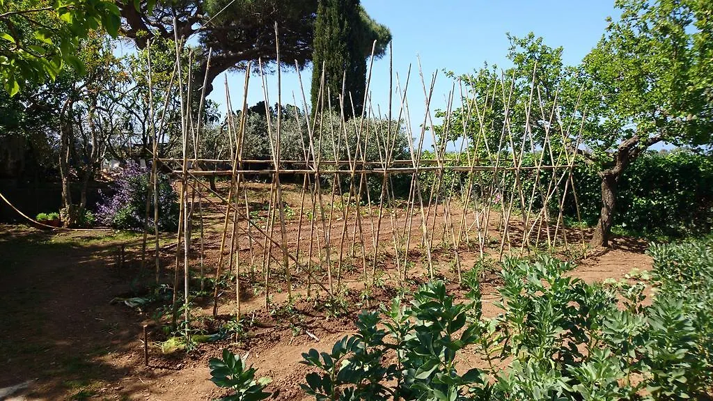 Podere Isabella 산빈첸초 펜션